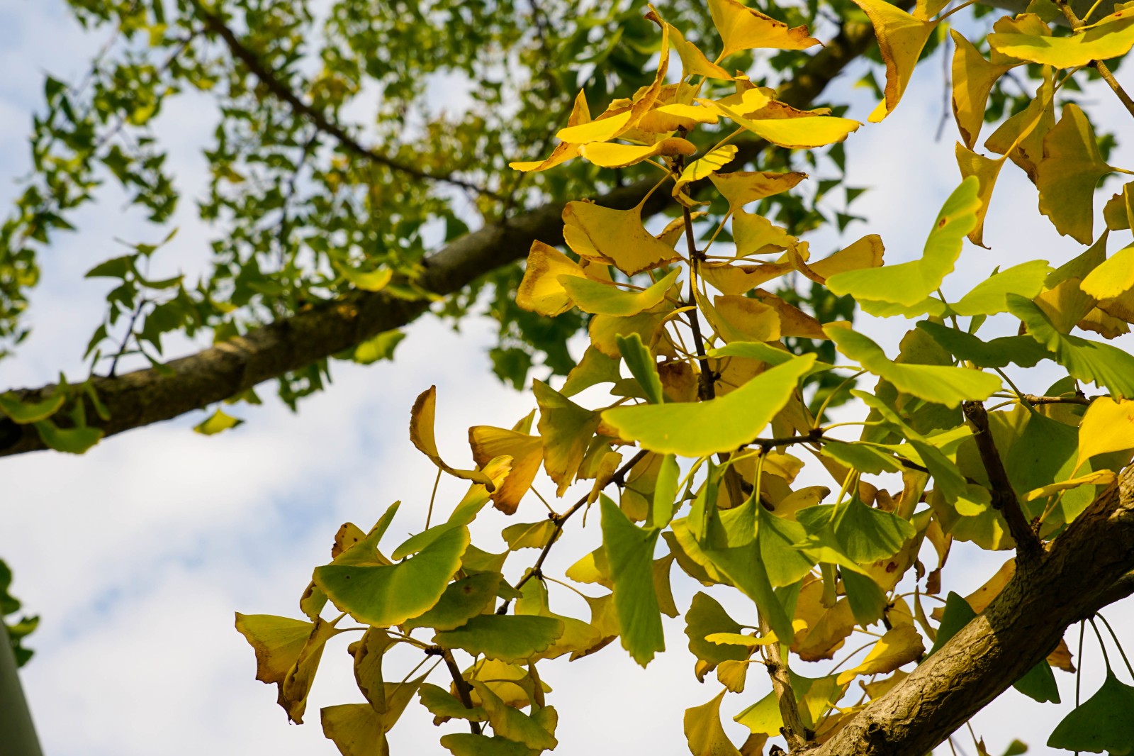 DSC06198.jpg DSC06198.jpg