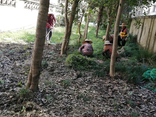 5f69648886f32.jpg 86929564743b738edfc82aa8b839348.jpg