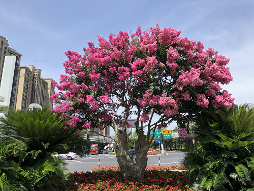 圖片1.png 圖片1.png