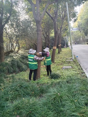 圖片1.jpg 圖片1.jpg