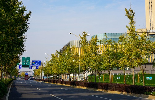 DSC06207.jpg DSC06207.jpg